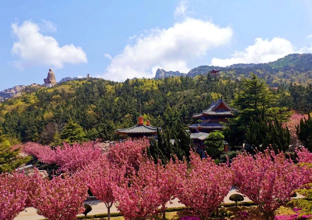 荣成风景区有哪些，荣成周边景点（来荣成这些打卡景区景点采撷好春光）