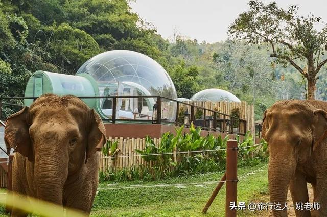 安纳塔拉度假会，阿布扎比安纳塔拉度假村（泰北，丛林野奢OR城市度假）