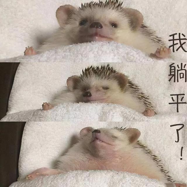 芭比是什么意思，女人喊男人芭比是什么意思（2021年的这些梗）