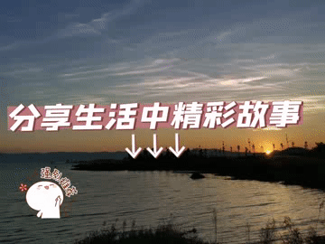 仙人掌的果实叫什么，仙人掌的果实有什么作用与功效（回乡种仙人掌、养胭脂虫）