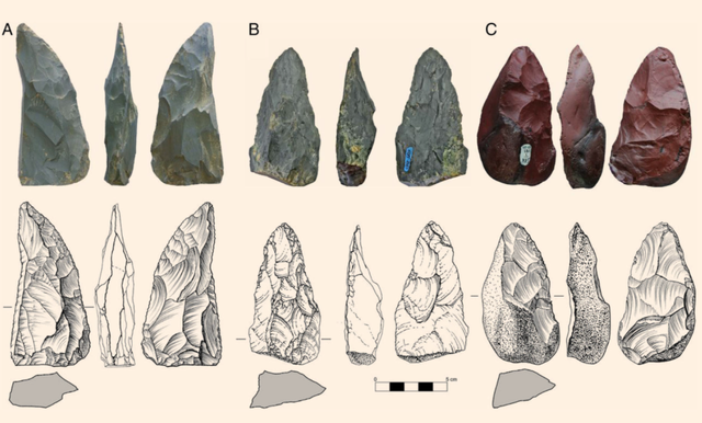 关于尼安德特人介绍，尼安德特人是怎么来的（两个智人都打不过一个尼人）
