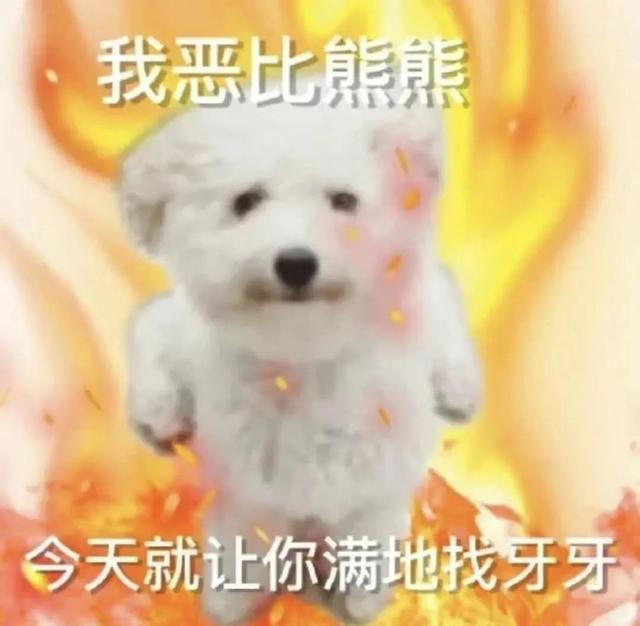 狗的土味方言，一些土味小狗怪图，收了