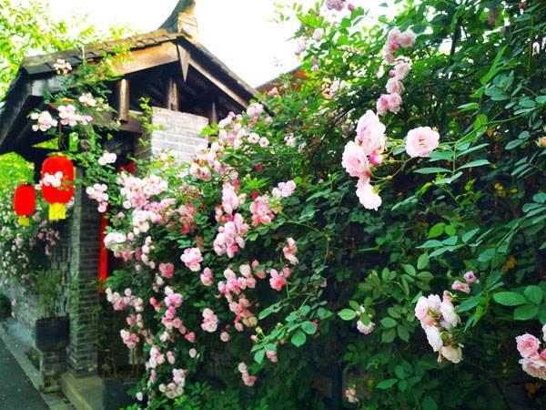 描写风的诗句有哪些，描写风的诗句有哪些一年级（最著名的8首“风之诗”排行榜）