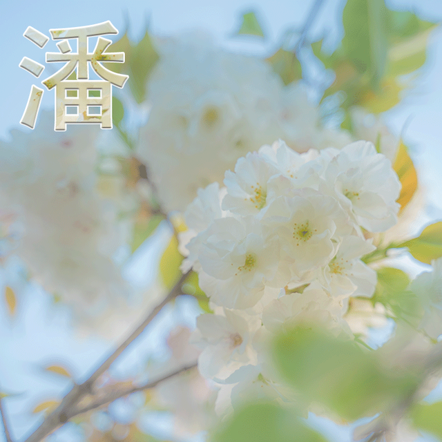 思考人生人生是你，微信头像，思考人生人生是你（成功的路上有门必修课叫孤独、积极思考造就积极人生）