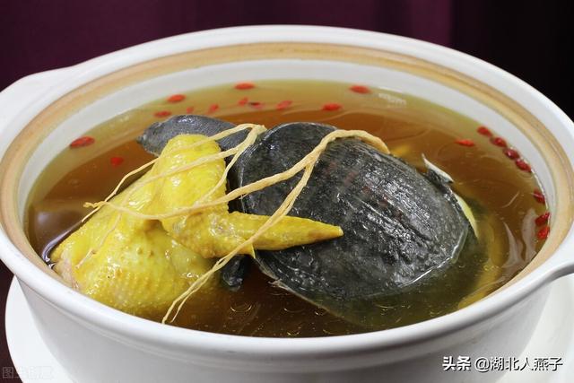 女人吃甲鱼的功效与作用，女性喝甲鱼汤的好处与功效（推荐8款“养血护肝汤”）