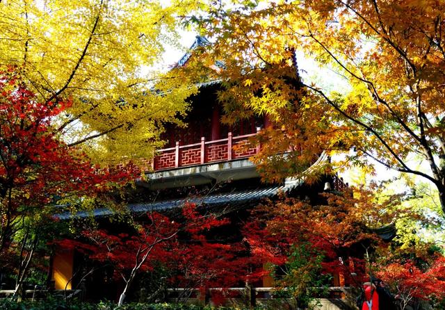 10种代表秋天的景物，秋天的景色有哪些（这10个小众绝美的秋景地）