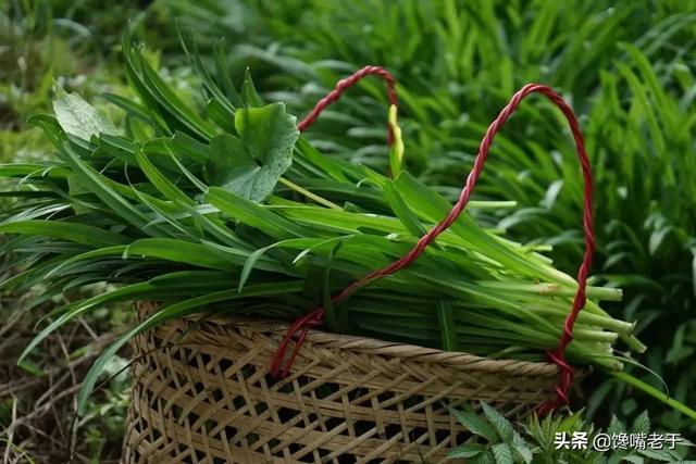 糖拌西红柿又叫什么，糖拌西红柿的别名叫什么（这5种蔬菜尽量少吃）