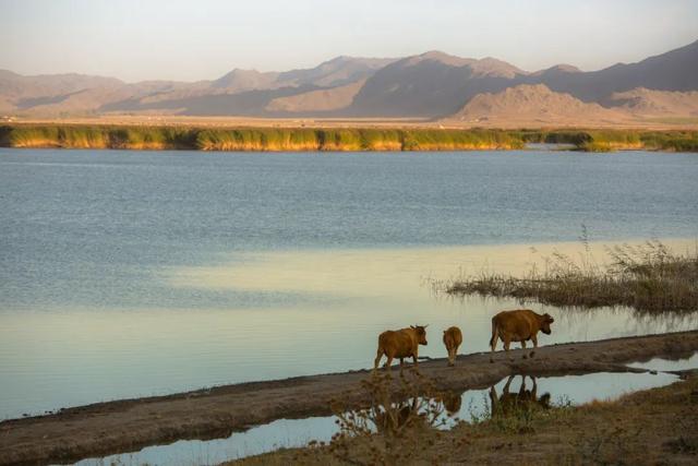柳宗元的诗，柳宗元的诗歌风格特点（柳宗元最经典的10首诗词）