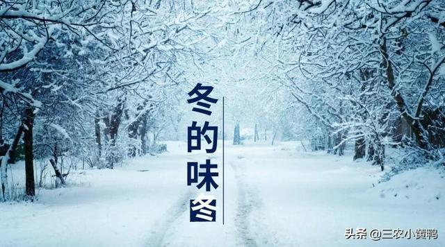 春打五九尾是指什么，二月倒春寒”能预兆