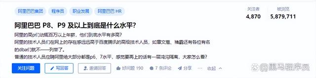 p6是什么意思，华为p6和p6s有什么区别（及以上到底是什么水平）