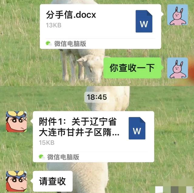 她只是我的妹妹，她只是我的妹妹是什么歌（沙雕网友日常：她只是我的妹妹）