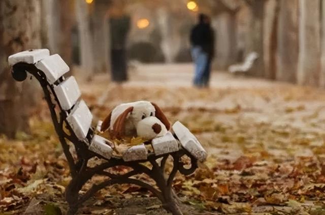 失恋伤感的句子，失恋后伤心绝望的句子说说心情短语每都那么让人崩溃（50条悲凄伤感的爱情文案）