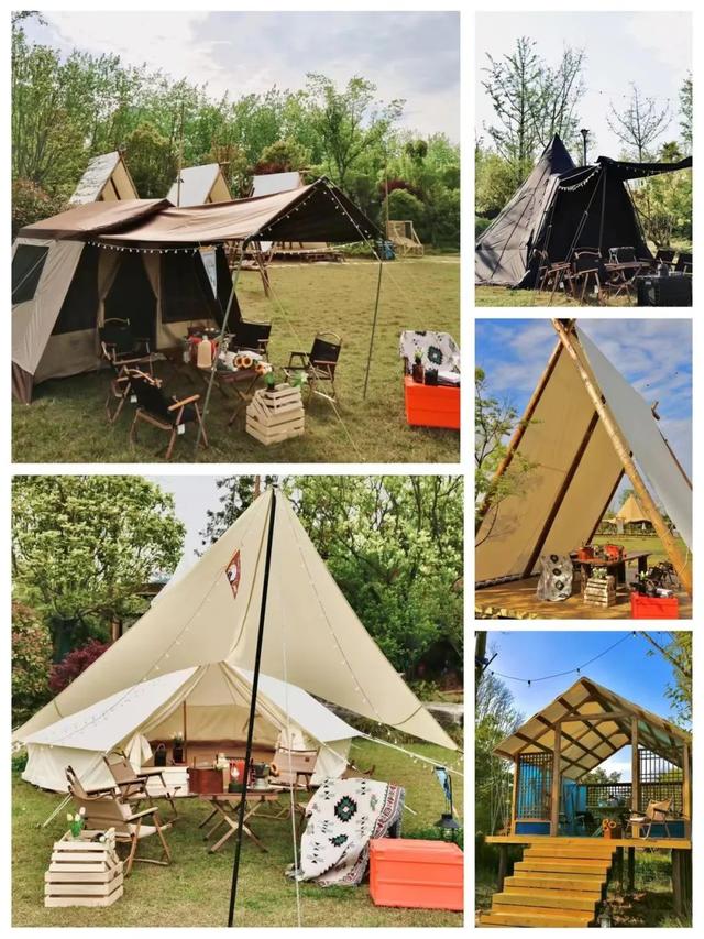 长沙生态动物园门票，长沙生态动物园门票多少暮云那个（赏花、露营、亲子、文博等）