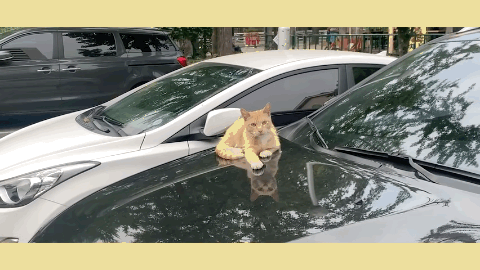 女头像ins风，精选高冷系ins风女头微信（承包韩国女生的头像大户）