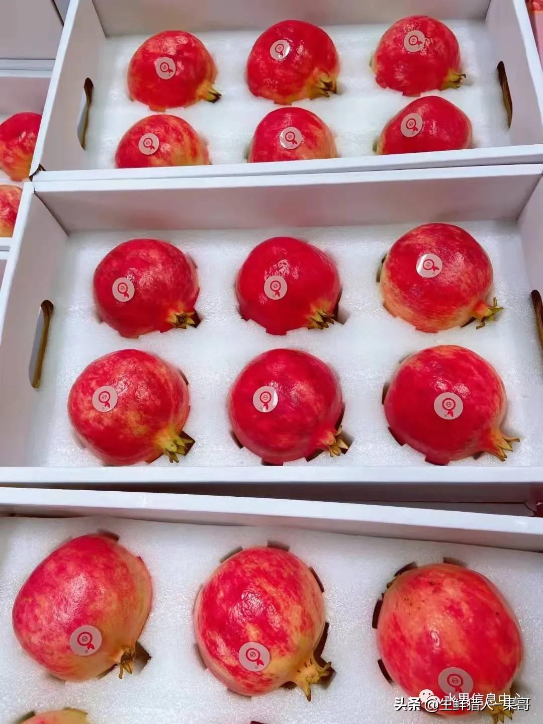 浆果是什么，浆果是什么软件（不同水果的不同包装<浆果篇>）