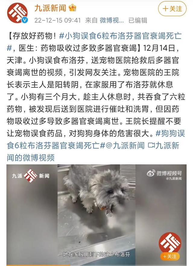 火场生无可恋狗子，狗子生无可恋的表情（我家狗家务全包）