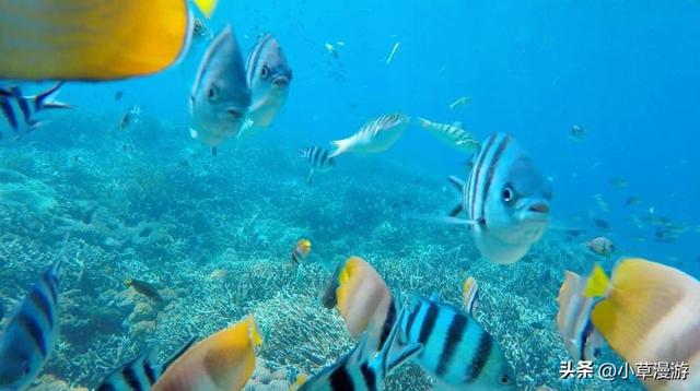 有海的地方哪个比较适合旅游，海边去哪里旅游最好（海岛旅行度假首选）