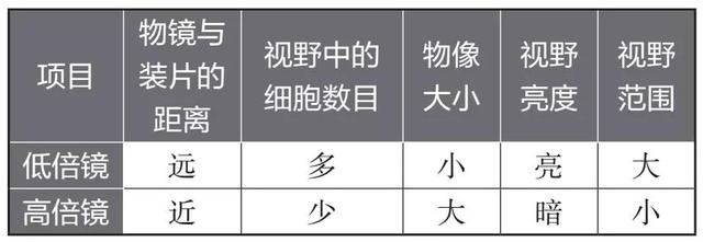 蔗糖是不是还原糖，麦芽糖和蔗糖是不是还原糖（高中生物易错题NO.2）