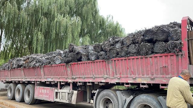 自己创业做什么合适，自己创业做什么比较好（2个人经营也能年入20万）