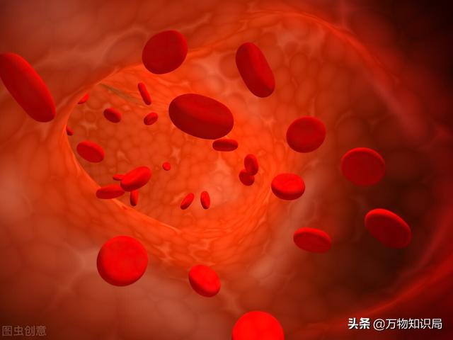 科学家用鸡的基因复活恐龙，鸡中霸王 鬼谷
