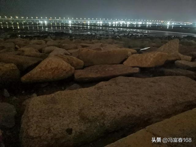 西湾红树林公园，宝安西湾红树林湿地公园建设