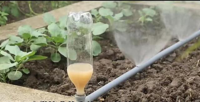 怎么做泥最简单成功，怎么做泥简单（农村1小哥塑料管自制自动灌溉系统）