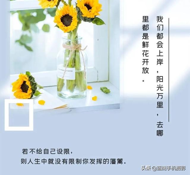 关于梦想的励志句子，关于梦想的句子励志短（正能量励志句子文案）