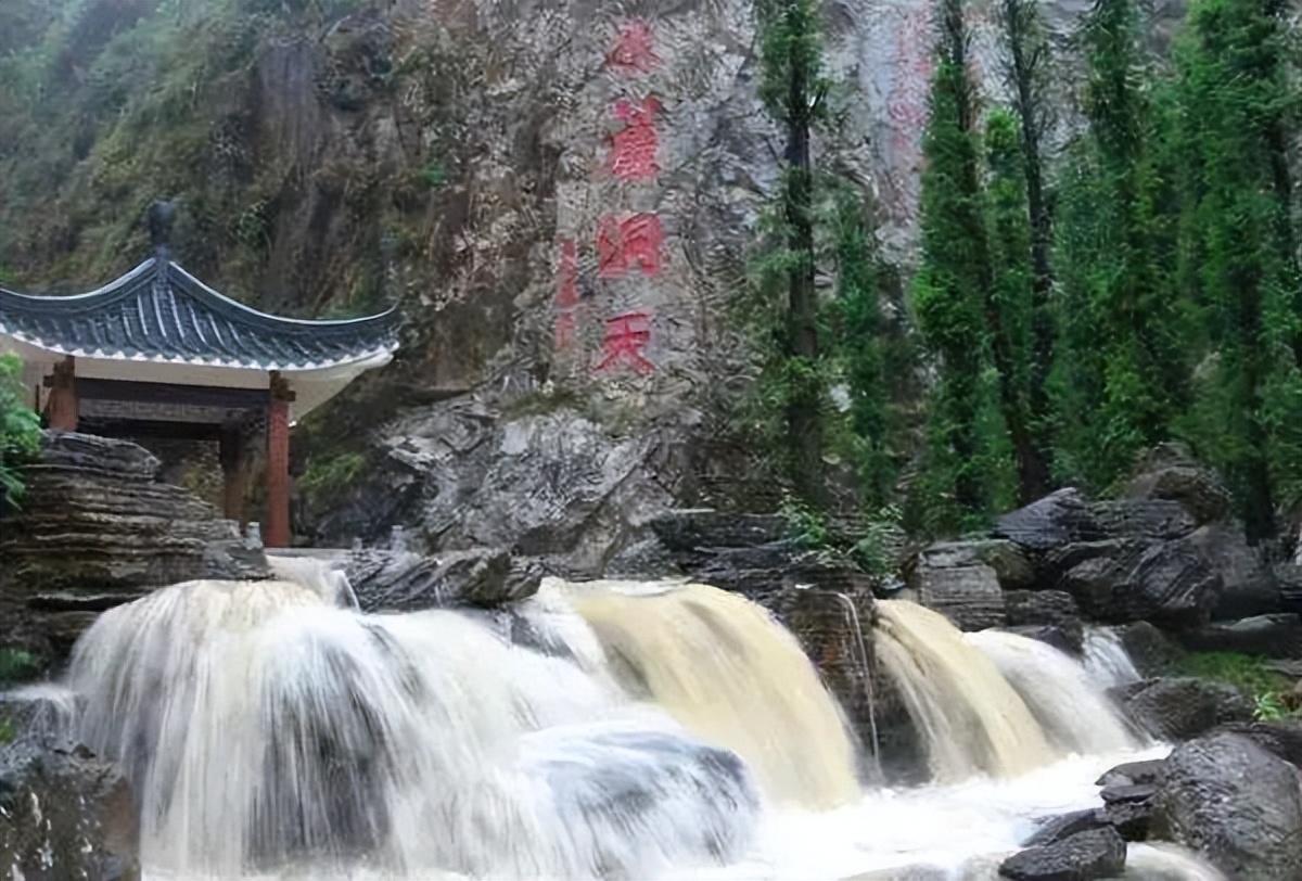 东莞自驾一日游更佳景点，打卡松山湖黄花风铃木+水濂山森林公园