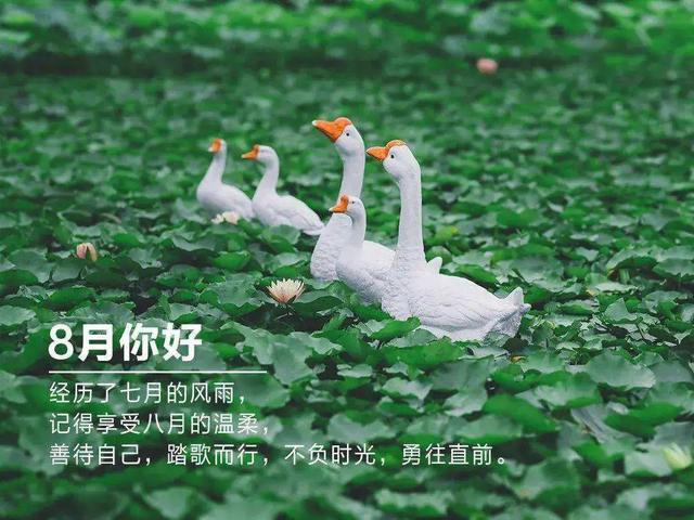 七月再见八月你好图片，2022年七月再见（七月再见，八月你好）