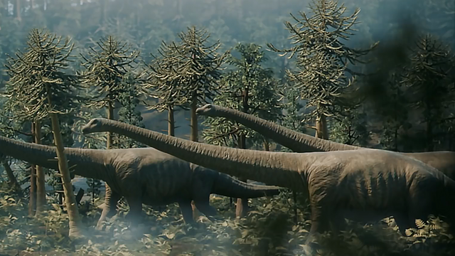 昆虫类有哪些动物，宠物种类有哪些（地球上体型最大的10种动物）