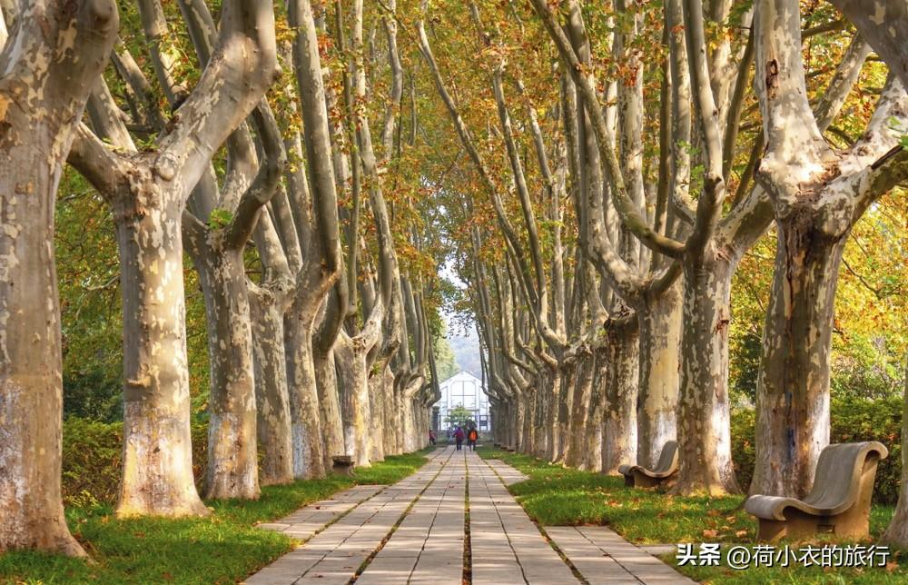 南京出发二日游，南京出发二日游攻略（南京最美的6个地方）