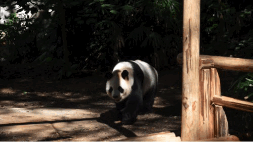 深圳世界之窗门票多少钱一张，深圳世界之窗晚上门票多少（动物园\u0026世界之窗/欢乐海岸水秀）