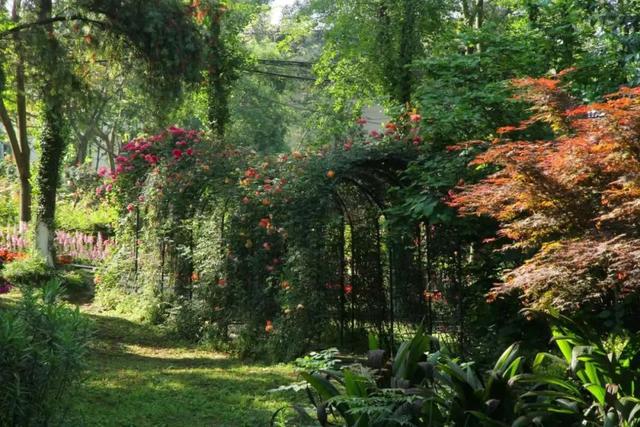 距离成都2小时小众的露营基地，成都近郊9个小众徒步露营耍水地