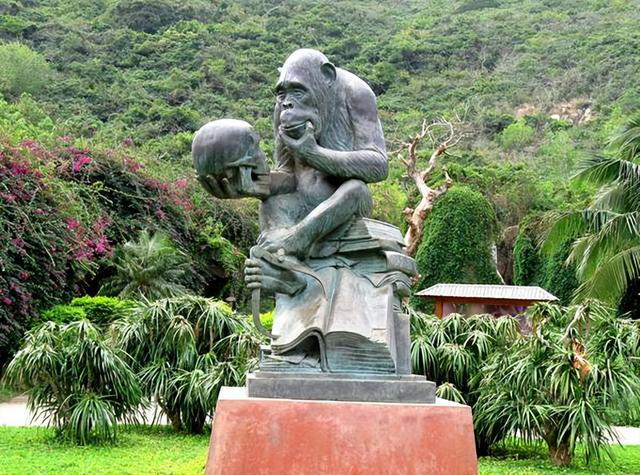 酒是什么东西，喝酒后感悟人生的句子（酒的起源之猿猴造酒说）