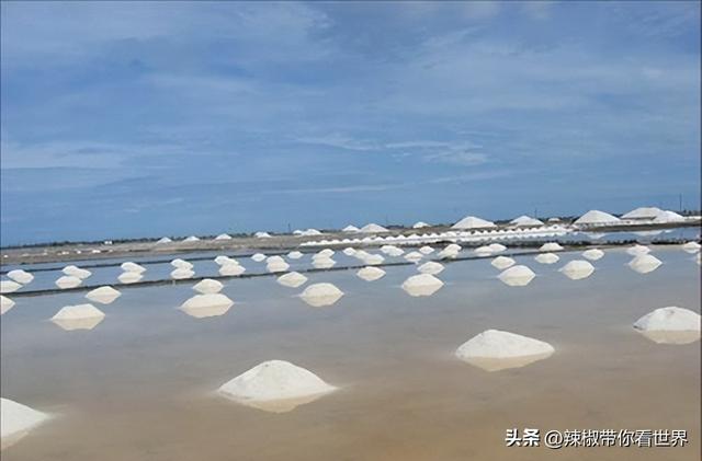 盐城特产介绍，盐城特产（大自然寂静之美造就这里的特色美食）