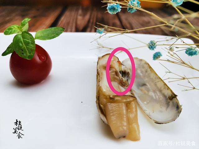 2,贝壳肉里吃出了透明条状物?晶杆:我不是寄生虫