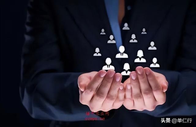 山姆超市为什么这么火，为什么说山姆超市逼疯年轻人（山姆凭什么这么牛）