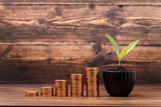 什么叫股本结构，股本结构包括什么（股权结构设计<内部参考资料>）