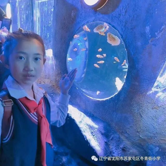 皇家极地海洋世界，带孩子去极地海洋世界（呵护蔚蓝”——冬青街小学研学之旅）