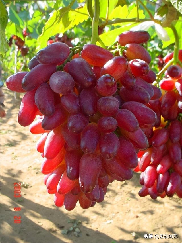 辽宁省有哪些市，锦州附近都有哪些城市（全国地理标志农产品目录系列之辽宁省——）