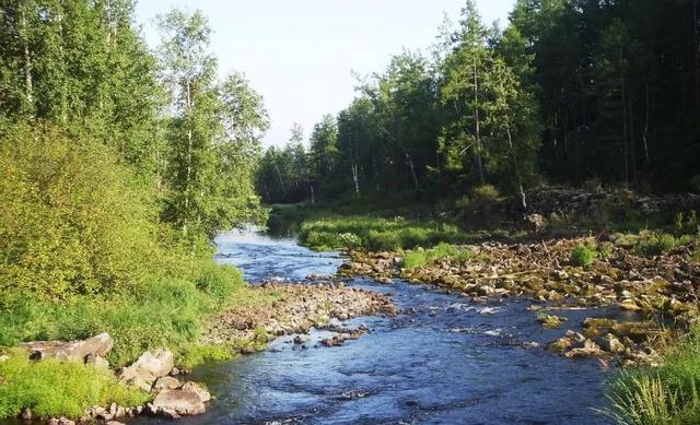 放生的最佳时间，上午放生好还是下午放生好（十月十五下元节）