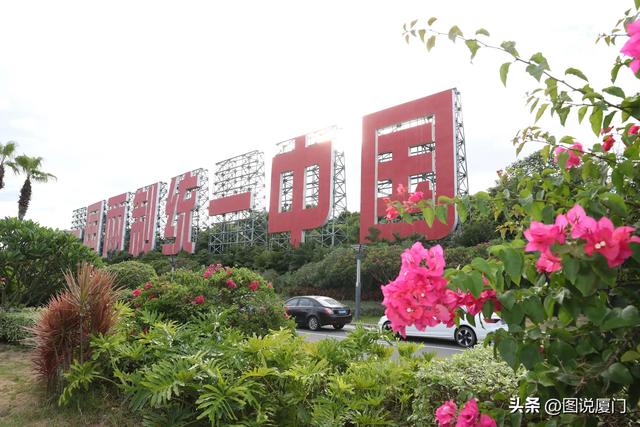 厦门金门旅游,金门岛一日游(我在厦门眺望金门)