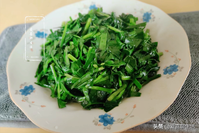 韭菜多少钱一斤，今日全国韭菜批收价格（春天少吃菠菜白菜多吃韭菜）