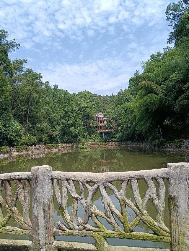 歌乐山森林公园，重庆主城700米高山-歌乐山森林公园乘凉