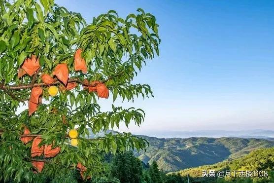 湖南人口最少的前十个县，因为一个名字与衡阳结下不解之缘