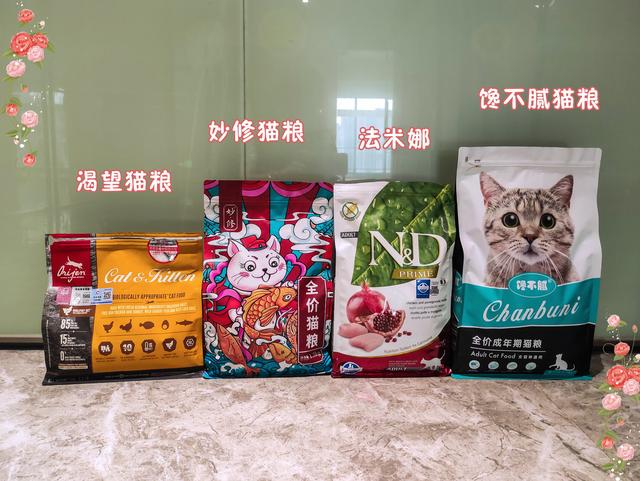 猫的智商排名，猫的智商排名表（一只猫如果有这5个特征）