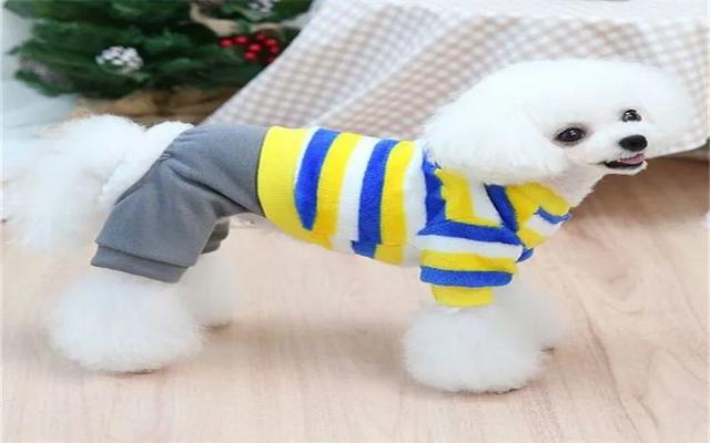 家庭办厂致富项目，家庭办厂3一8万项目（做好了一年的纯利润都能在50万以上）