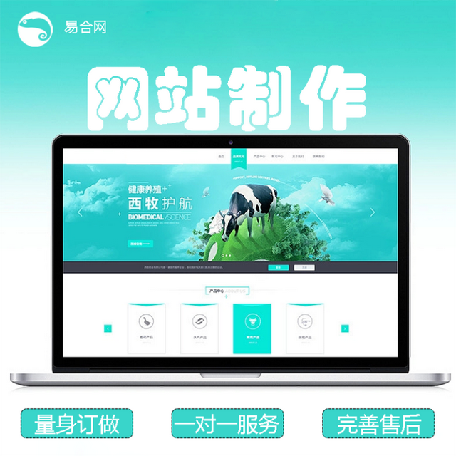 企业建站程序有哪些(建站程序大全)