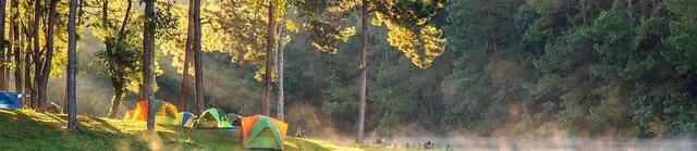 重庆仙女山景点介绍，重庆仙女山有哪些景点值得去（一个美得不可方物的人间仙境）