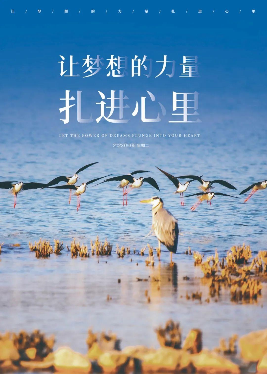 06」早安心語,正能量激勵語錄句子 朋友圈清晨說說圖片 - 渡人渡己